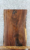 Thumbnail for Live Edge Black Walnut Sofa/Coffee Table Top Slab 42210