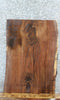 Thumbnail for Live Edge Black Walnut Sofa/Coffee Table Top Slab 42211
