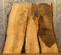 Thumbnail for Live Edge Ash Coffee/Sofa Table Top Wood Slab CLOSEOUT 42218