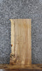 Thumbnail for Spalted Maple Live Edge Charcuterie/Shelf Slab 42218