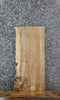 Thumbnail for Spalted Maple Live Edge Charcuterie/Shelf Slab 42218