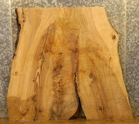 Thumbnail for Salvaged Live Edge Ash Console/Sofa Table Top Slab CLOSEOUT 42219