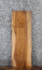 Thumbnail for Live Edge Sycamore Sider Table Top/Wall Shelf 4221