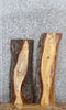 Thumbnail for 2- Live Edge Maple Side Tables/Wall Shelves 4222-4223