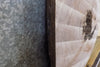 Thumbnail for Natural Edge Round Cut Black Walnut Coffee Table Top Slab 42220