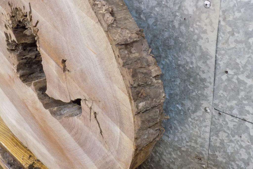 Natural Edge Round Cut Black Walnut Coffee Table Top Slab 42220