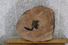 Thumbnail for Natural Edge Round Cut Black Walnut Coffee Table Top Slab 42220