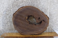 Thumbnail for Live Edge Black Walnut Round Cut Table Top Wood Slab CLOSEOUT 42224