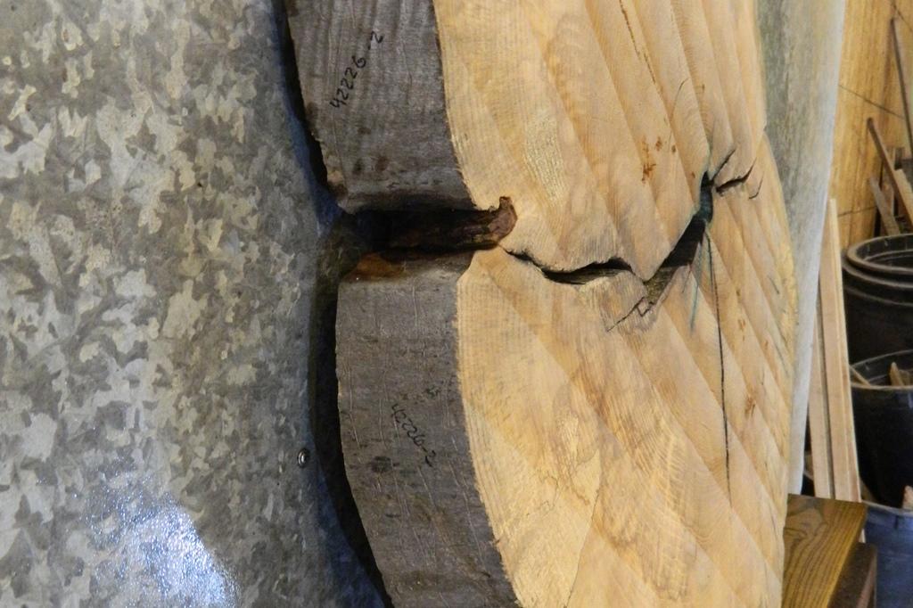 2- Live Edge Round Cut Ash Split Board Slab Halves CLOSEOUT 42226