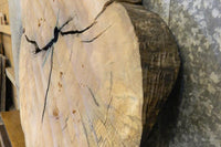 Thumbnail for 2- Live Edge Round Cut Ash Split Board Slab Halves CLOSEOUT 42226