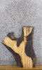 Thumbnail for Natural Edge Rustic Ash Sofa/Side/Accent Table Top Slab 42227