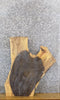 Thumbnail for Natural Edge Rustic Ash Sofa/Side/Accent Table Top Slab 42227
