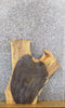 Thumbnail for Natural Edge Rustic Ash Sofa/Side/Accent Table Top Slab 42227