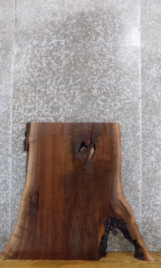 Black Walnut Rustic Live Edge Coffee Table/Desk Top Wood Slab 42230
