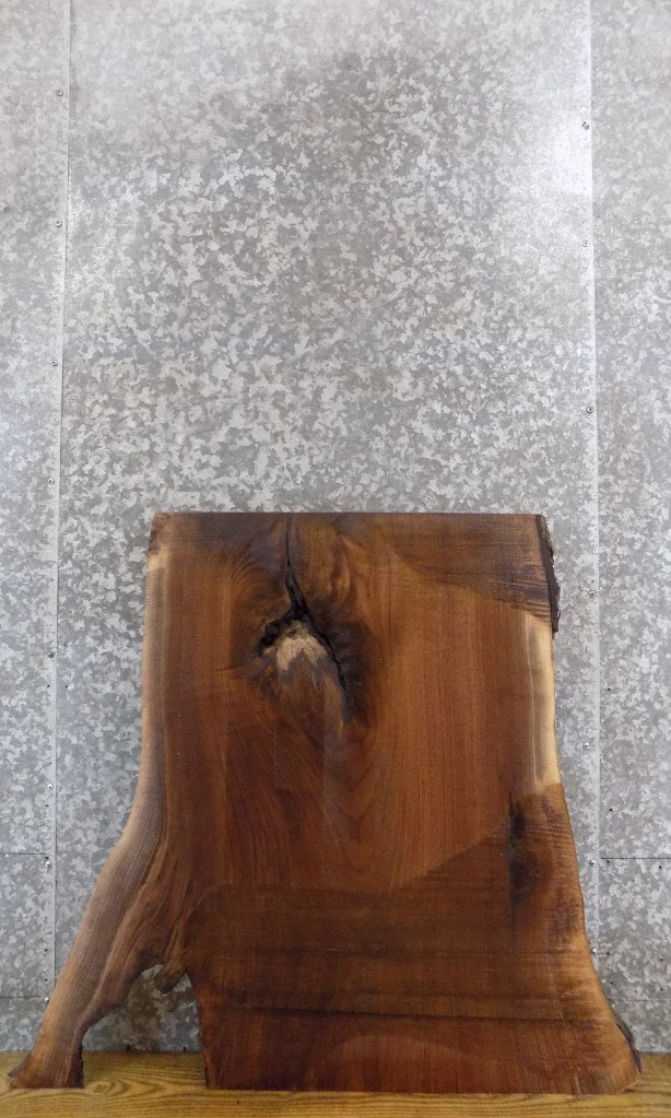Black Walnut Rustic Live Edge Coffee Table/Desk Top Wood Slab 42230