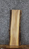 Thumbnail for Elm Live Edge Charcuterie/Shelf Slab 42230