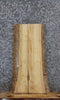Thumbnail for Ash Live Edge Wood Slab 42232