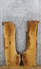 Thumbnail for 2- Live Edge White Oak Side Table Slabs/Wall Shelves 4224-4225
