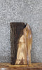 Thumbnail for Walnut Live Edge Charcuterie/Taxidermy Slab 42242