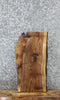 Thumbnail for Walnut Live Edge Charcuterie/Taxidermy Slab 42242
