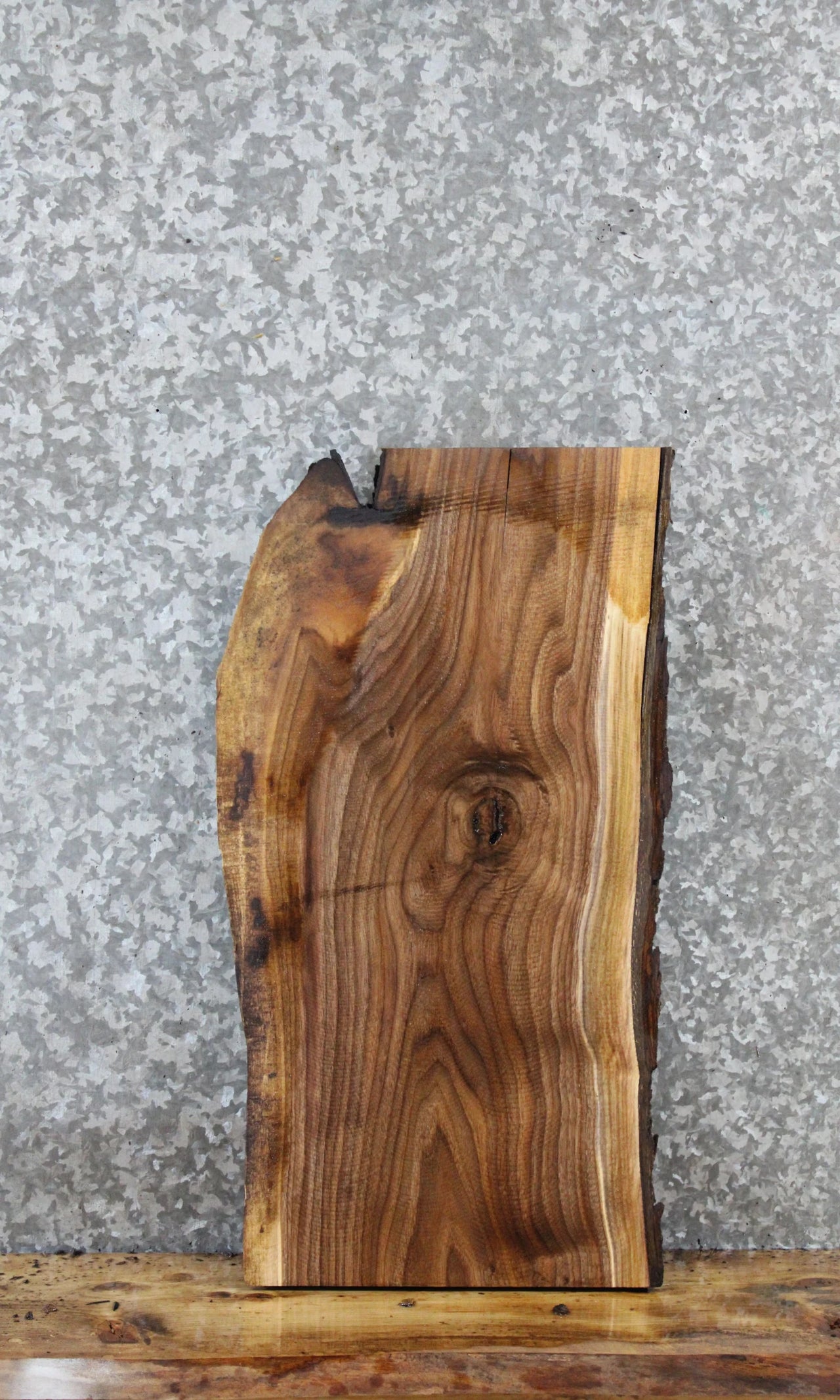 Walnut Live Edge Charcuterie/Taxidermy Slab 42242