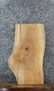 Thumbnail for Ash Live Edge Coffee Table/ Bench Slab 42247