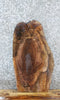 Thumbnail for Black Walnut Live Edge Tree Slice Charcuterie/End Table Slab 42250