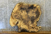 Thumbnail for Live Edge Round Hackberry Epoxy Project Table Top 42255