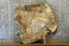 Thumbnail for Live Edge Round Hackberry Epoxy Project Table Top 42255