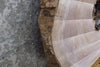 Thumbnail for Live Edge Black Walnut Coffee Table Top, Epoxy Slab 42256