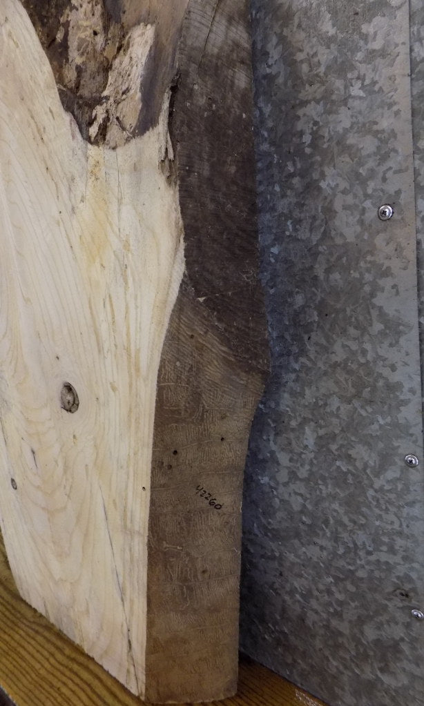 Natural Edge Rustic Ash Sofa/Side/Coffee Table Top Slab 42260