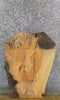 Thumbnail for Natural Edge Rustic Ash Sofa/Side/Coffee Table Top Slab 42260