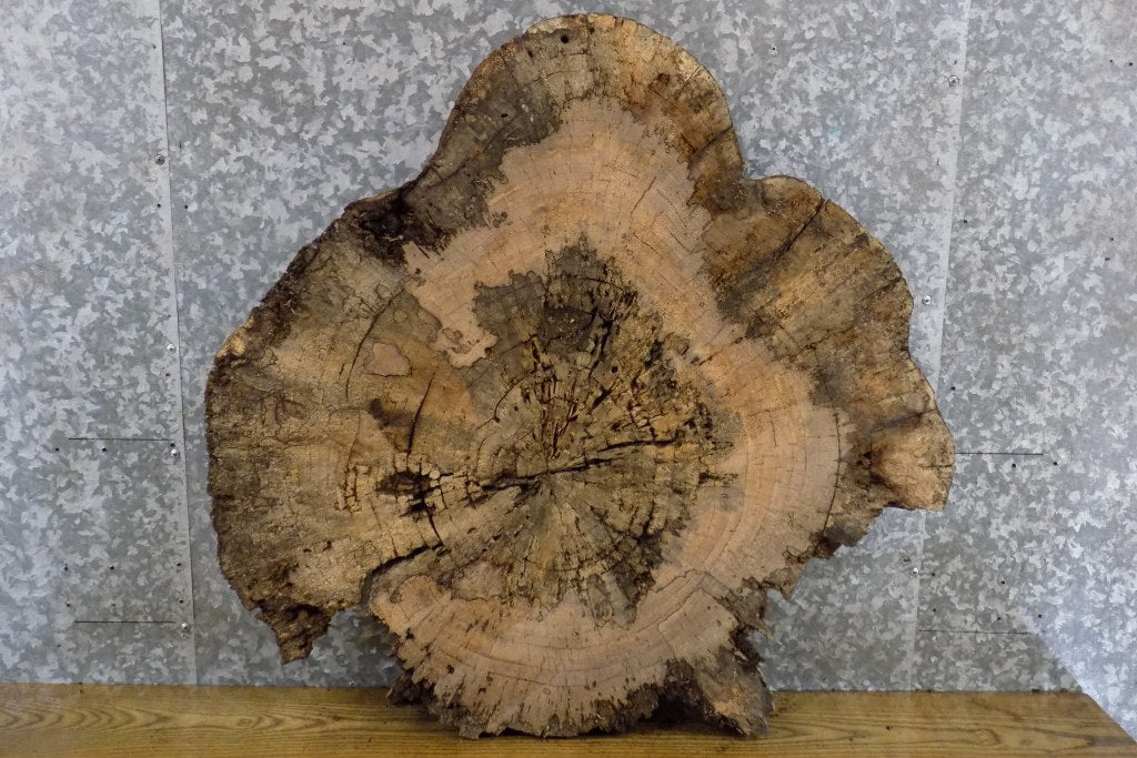 Live Edge Round Maple Epoxy Project/Table Top Slab CLOSEOUT 42265