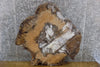 Thumbnail for Live Edge Round Maple Epoxy Project/Table Top Slab CLOSEOUT 42265