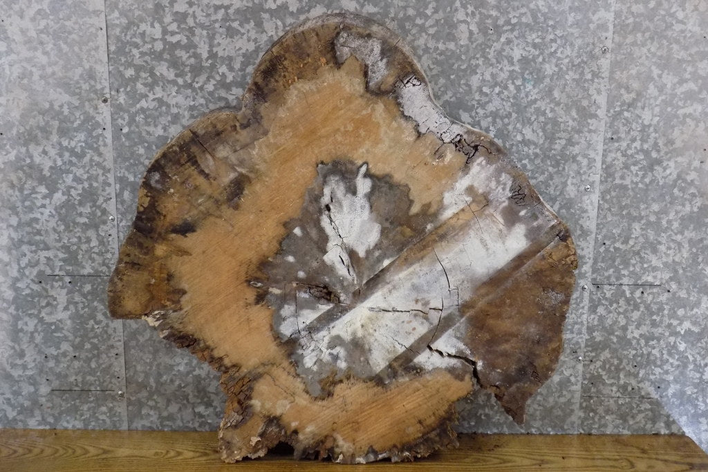 Live Edge Round Maple Epoxy Project/Table Top Slab CLOSEOUT 42265