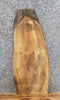Thumbnail for Live Edge Salvaged Elm End/Accent/Coffee Table Top Slab 42280