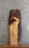 Thumbnail for Live Edge Maple Sofa/Side Table Top/Wall Shelf 4227