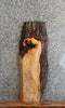 Thumbnail for Live Edge Maple Sofa/Side Table Top/Wall Shelf 4227