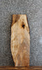 Thumbnail for Live Edge Maple Sofa/Side Table Top/Wall Shelf 4227
