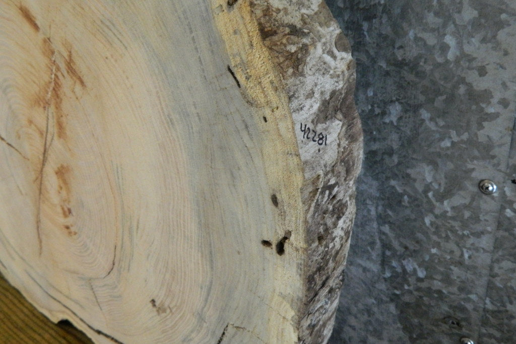 Natural Edge Round Cut Locust Rustic Sofa/Side Table  CLOSEOUT 42281