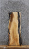 Thumbnail for Live Edge Hard Maple Wood Slab, Shelf Slab 42282