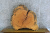 Thumbnail for Natural Edge Locust Round Cut Sofa Table Top Slab 42283