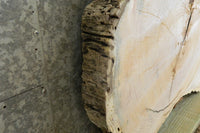 Thumbnail for Natural Edge Locust Round Cut Sofa Table Top Slab CLOSEOUT 42283