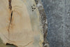 Thumbnail for Natural Edge Locust Round Cut Sofa Table Top Slab 42283