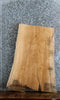 Thumbnail for Live Edge Ash Coffee/Sofa Table Top Slab 42284