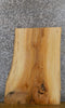 Thumbnail for Live Edge Ash Coffee/Sofa Table Top Wood Slab CLOSEOUT 42285
