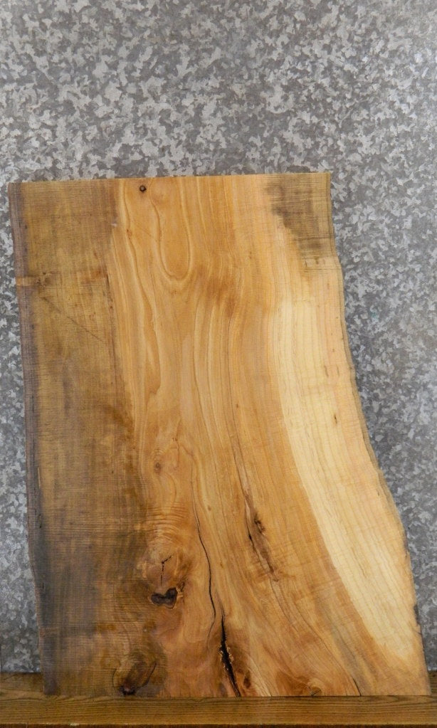 Live Edge Ash Coffee/Sofa Table Top Wood Slab CLOSEOUT 42285