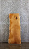Thumbnail for White Oak Live Edge Charcuterie/Taxidermy/End Table Slab 42286