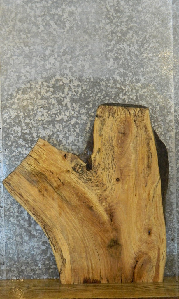 Live Edge Ash Sofa/Coffee/Side Table Top Wood Slab CLOSEOUT 42289