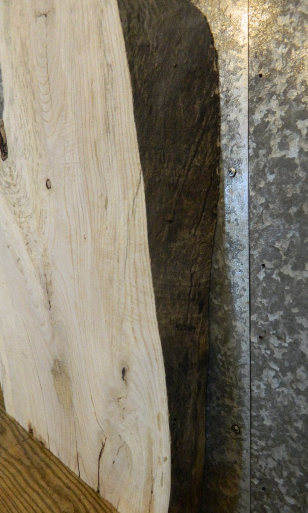 Live Edge Ash Sofa/Coffee/Side Table Top Wood Slab CLOSEOUT 42289